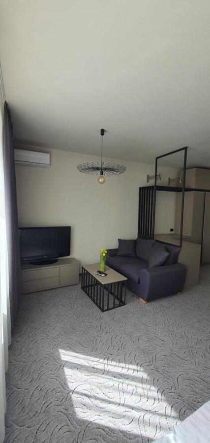 Casa Achim Hotel Baia Mare Eksteriør billede