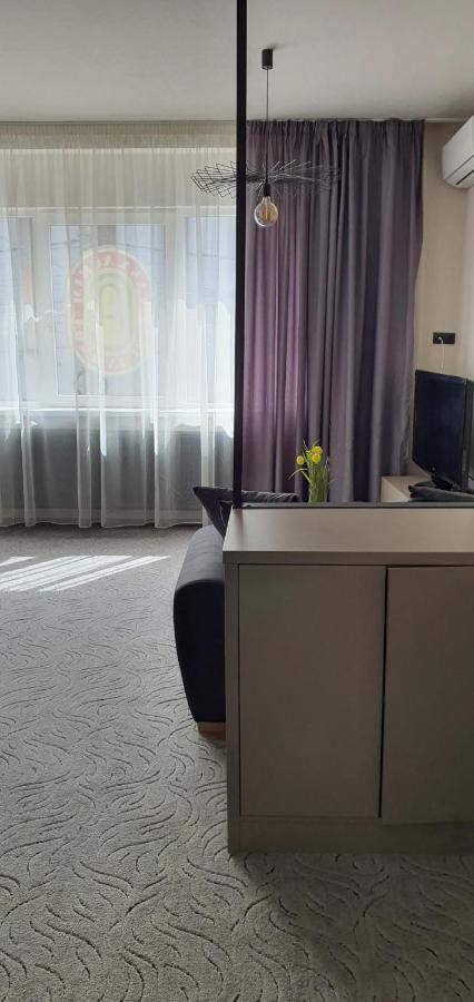 Casa Achim Hotel Baia Mare Eksteriør billede