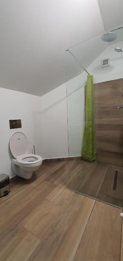 Casa Achim Hotel Baia Mare Eksteriør billede